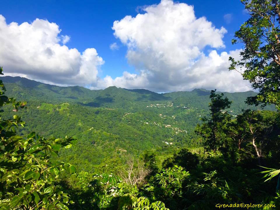 grenadaexplorer's tweet image. View from the top of the hash! #Grenada #Hashing #HHH grenadaexplorer.com/Island_Guide/G…