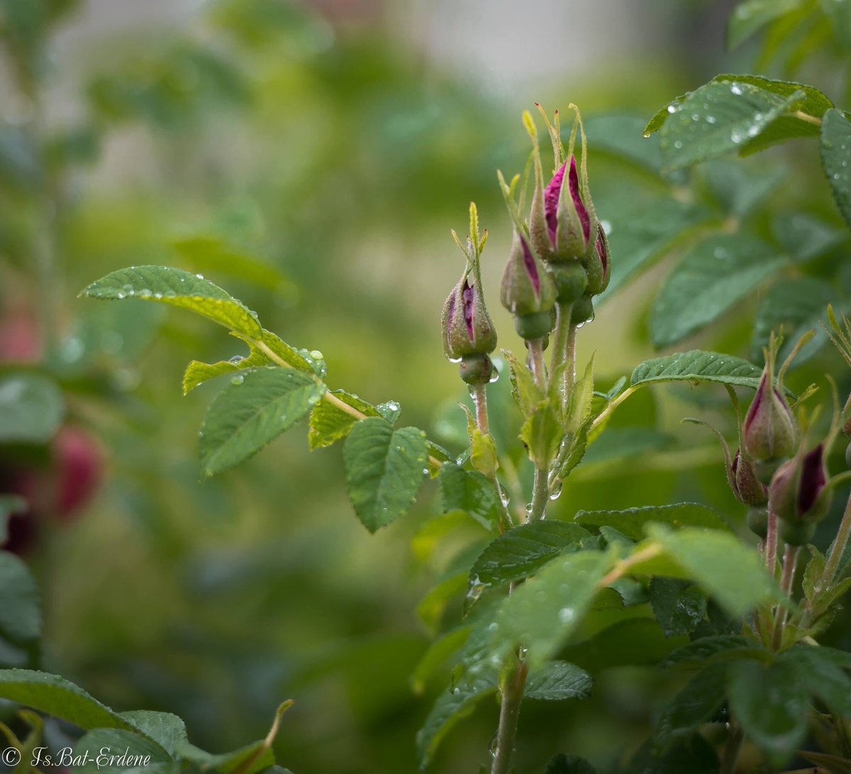 Өдөр болгоныг зөв л өнгөрөөхийг өөртөө зугуухан шаард..
Өрөөлөөс өвтгөх зүйл ирэхгүй..өөрөө ч аз жаргалтай байна гэх..