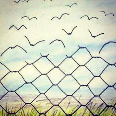Afekshan's tweet photo. #CaptionThis #FlyToFreedom https://t.co/eGWBBJSqAr