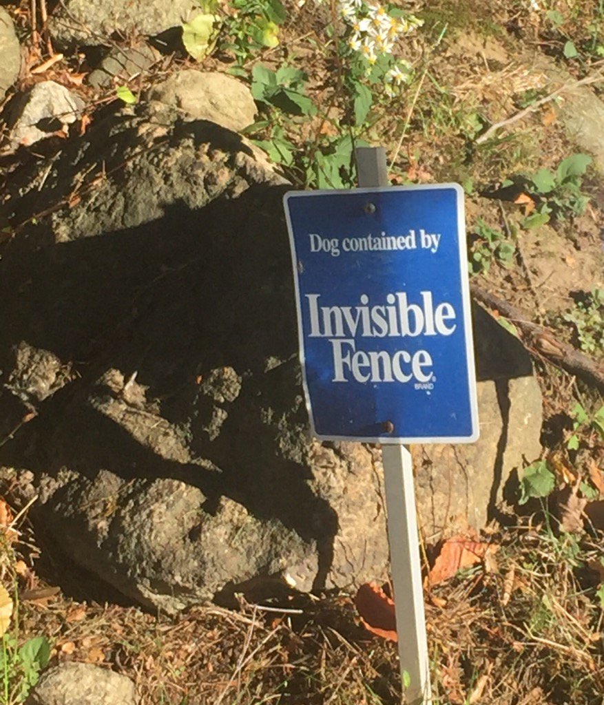 NeinQuarterly tweet picture