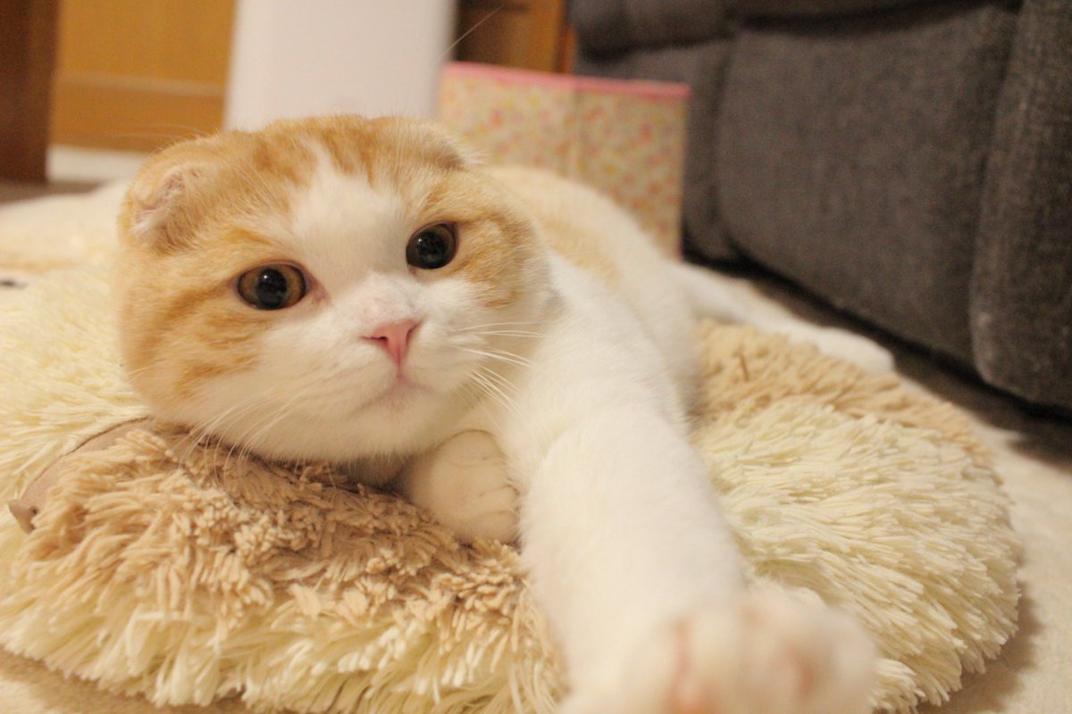 una1535's tweet photo. あくしゅかい https://t.co/d0GK4AxGDK