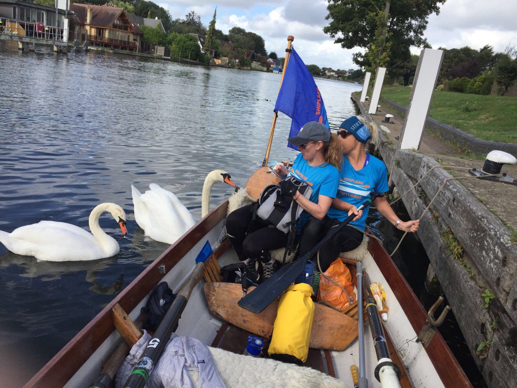 A couple of hungry companions at Penton Hook Lock!