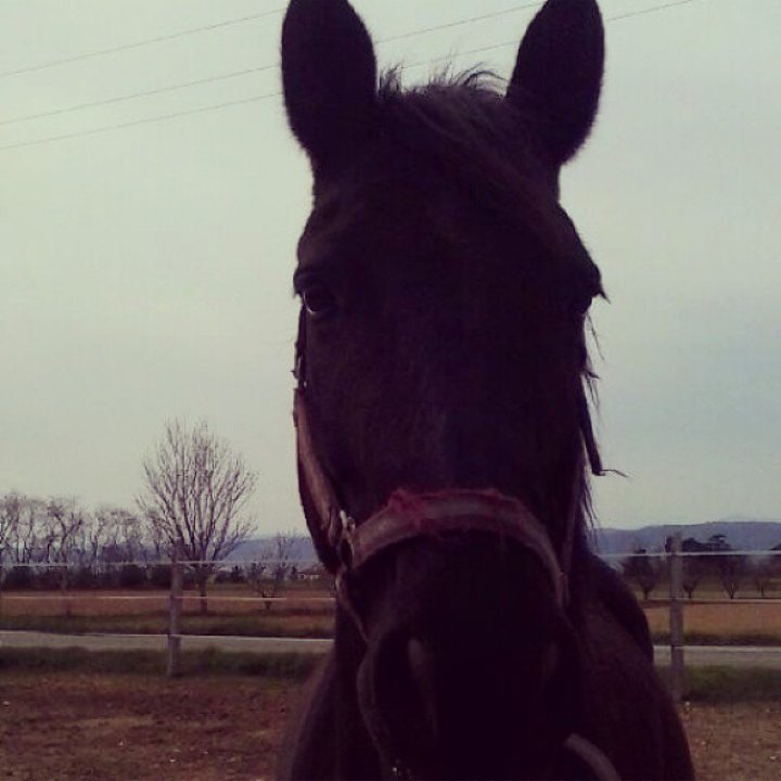 onlyliamjp's tweet image. 