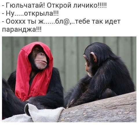 Житомирский облсовет избрал председателем депутата от "Блока Порошенко" Ширму - Цензор.НЕТ 8445