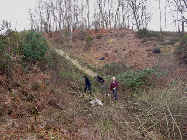 PillboxSG's tweet photo. #Autumns Here @ Looking Forward To This Weeks #WW2 #TankRecovery Ramp Work With #HartCountryside @ #HazeleyHeath #HartleyWintney #Hampshire https://t.co/mFQ1gSP7v7