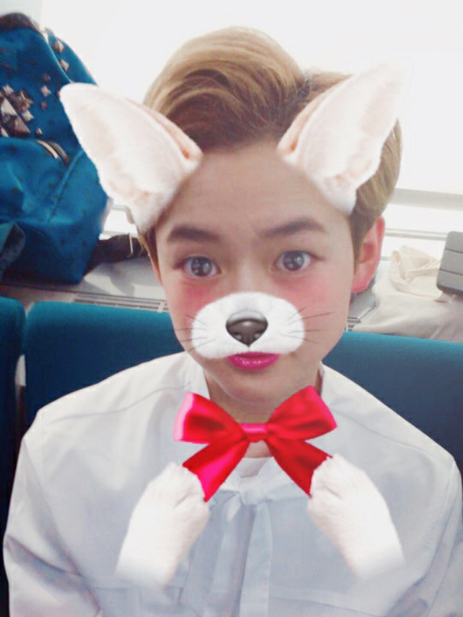 ADORABLE KITTEN❣ tweet media