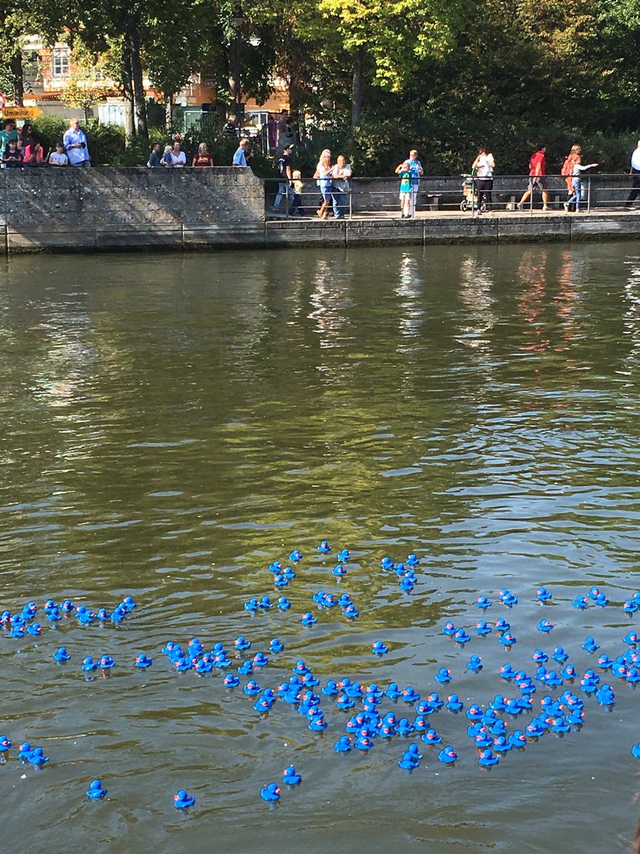 jeperego's tweet photo. 5555 paperelle di plastica in gara sull'Isar, migliaia di persone a fare il tifo #Landshut #Baviera #Germania #domenica https://t.co/roXDwBoGk1