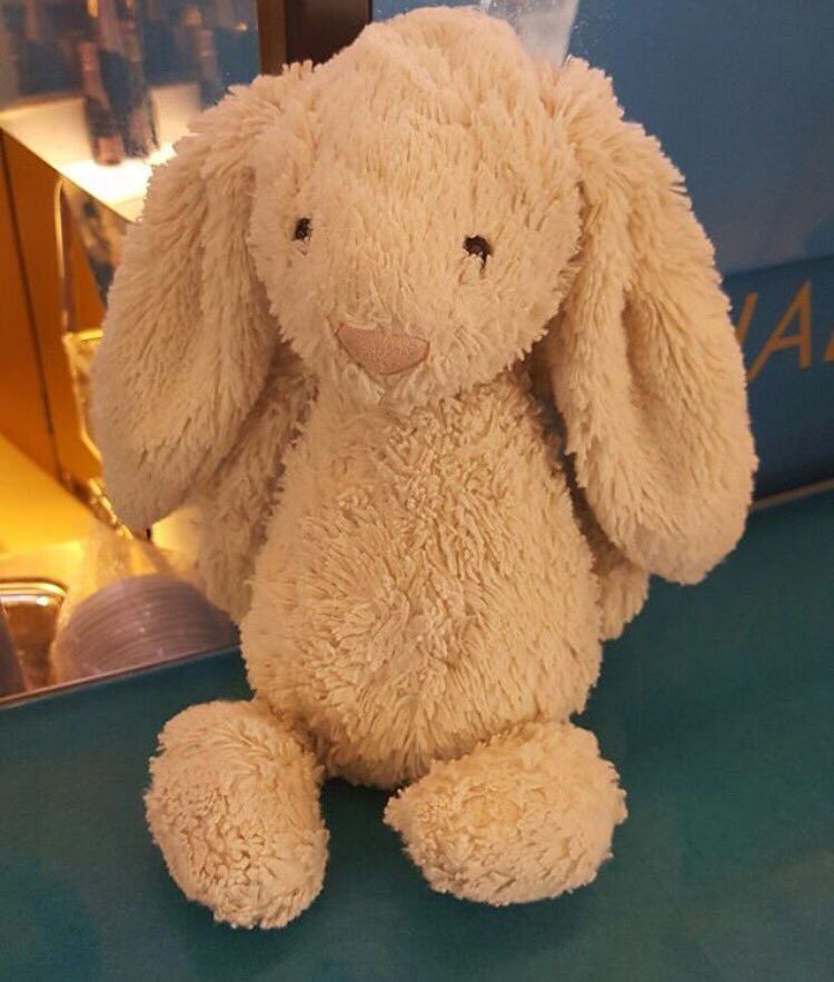 EssexPoliceSTN's tweet photo. Bunny missed his flight today @STN_Airport 😢it's ok though the Ambassadors are looking after him. Can we reunite #bunny with his #family? RT https://t.co/xwke126Bqe