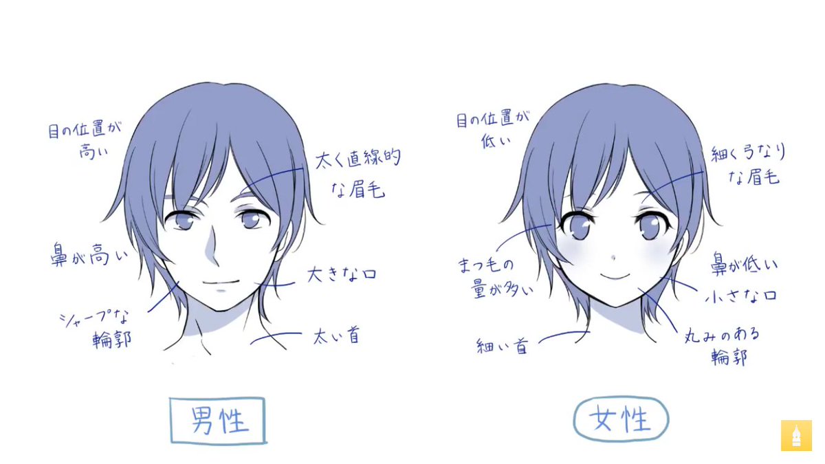 お絵かき講座パルミー 男性キャラクターの描き方講座 顔 髪 身体編 男女の特徴やヒゲの生え方 身体つきについても丁寧に解説され 後半では実際に男キャラを描く様子を収録ヾ W ノ 参考にして男キャラの練習をしてみましょ T Co