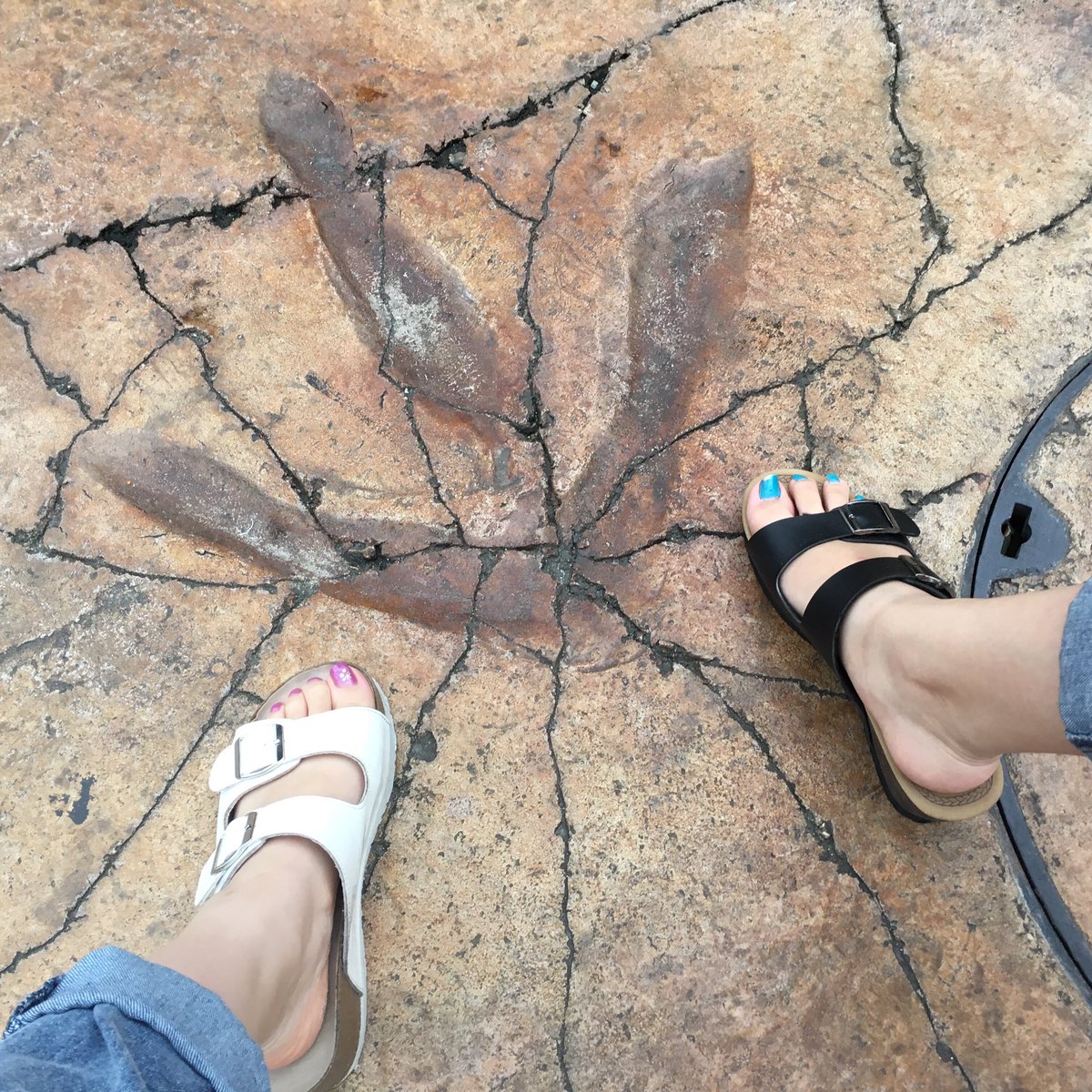 p0n1216's tweet image. Pon:@p0n1216 ♡ Hinya:@FTK_nanchu 
#twinscode
Lost dog🐶