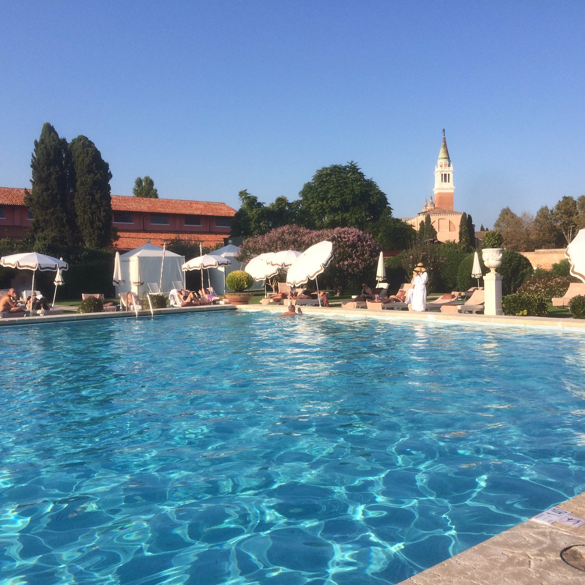 <a href="/JMiquelWine/">Julien Miquel #Wine</a> <a href="/winewankers/">The Wine Wankers 🍾🤛🎉🥂</a> #prosecco #grape harvest underway but still ripening <a href="/hotelcipriani/">Hotel Cipriani, a Belmond Hotel</a> #winelover Maybe slowlife by the pool!