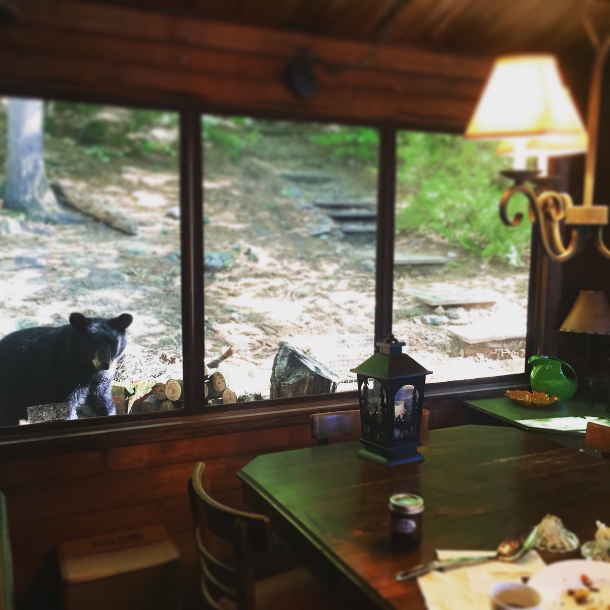 Pretty sure it was the smell of <a href="/Cumbraes/">Cumbrae's</a> bacon that lured our visitor over this morning.