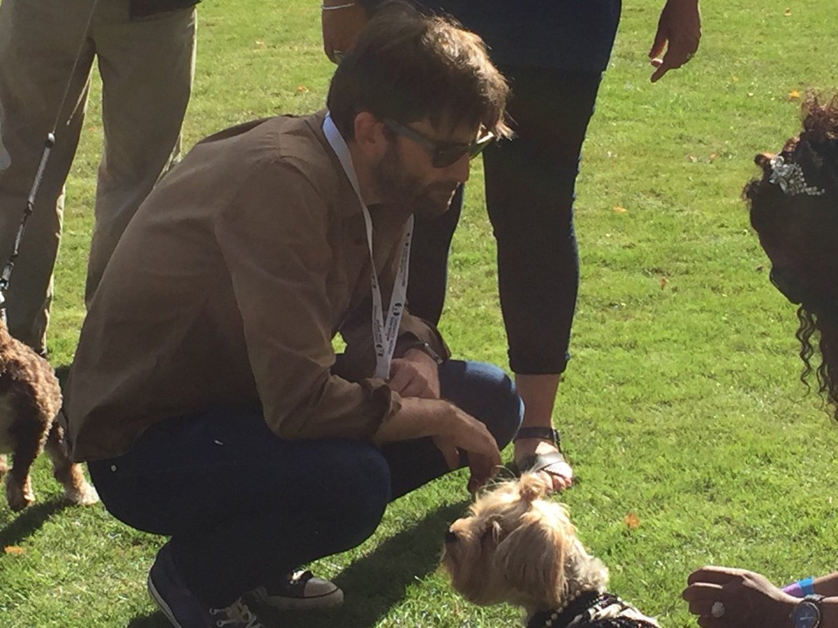 David Tennant at Chiswick House Dog Show