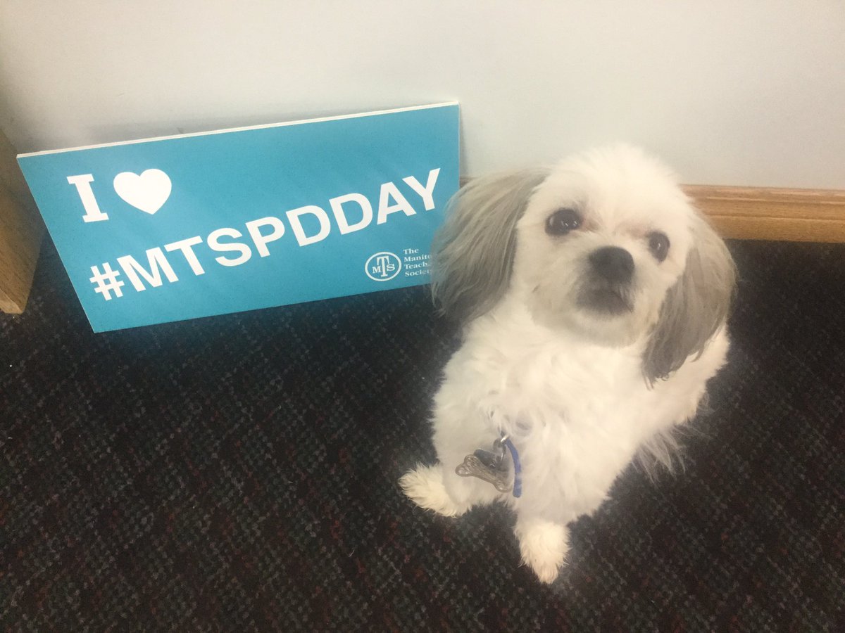 MsMMVTA's tweet photo. #mtspdday  I can't wait for to learn on MTS PD Day! https://t.co/2u794HYqvf