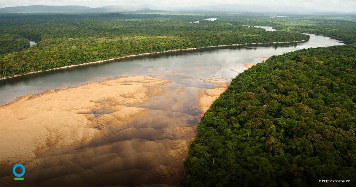 Conservation Intl tweet media