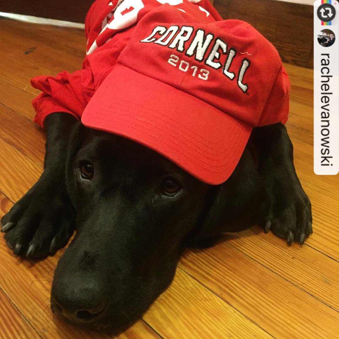 #CornellHomecoming #cuhome #cornellvet #twithaca