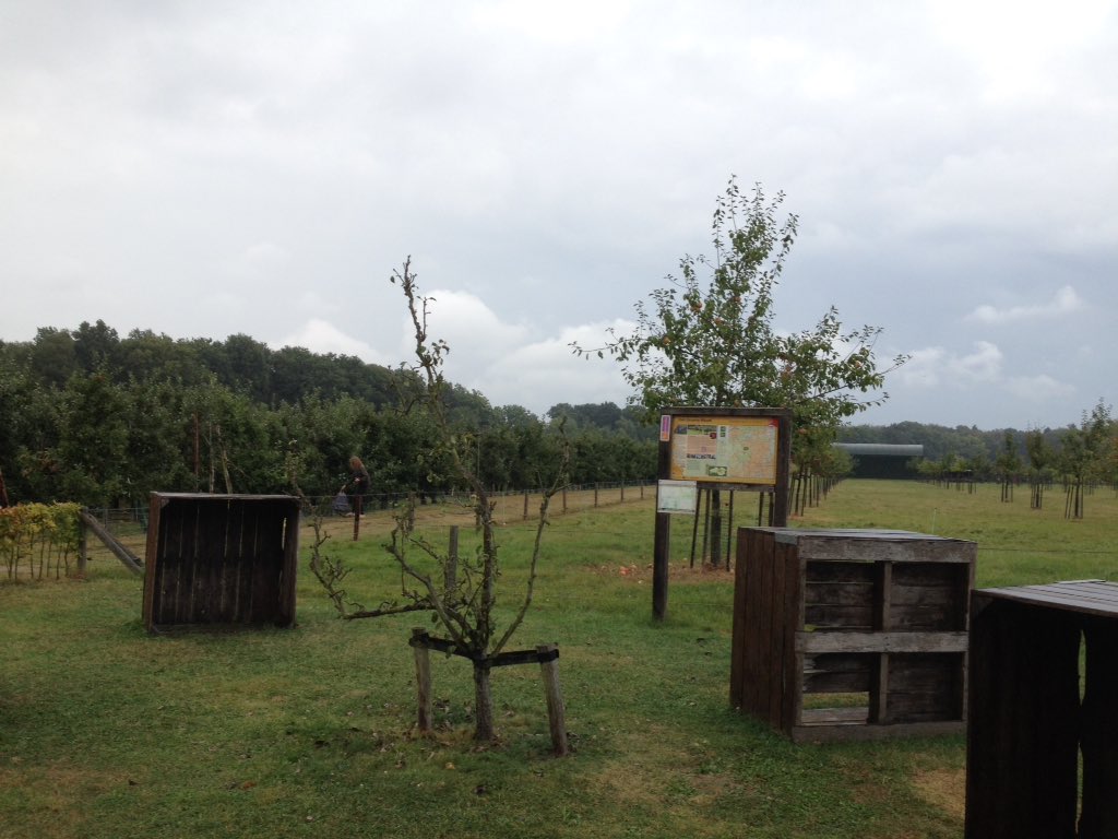 LeonKennis's tweet image. #deProeftuin. Goed toeven, ook tijdens een regenbui. #GroeneCorridor #fruittuin #pannekoek #hetGroeneWoud