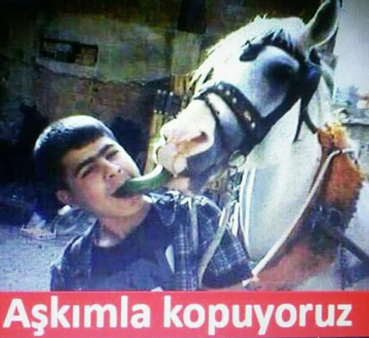 TÜRK-ÇÜ (@mhpsena) on Twitter photo 