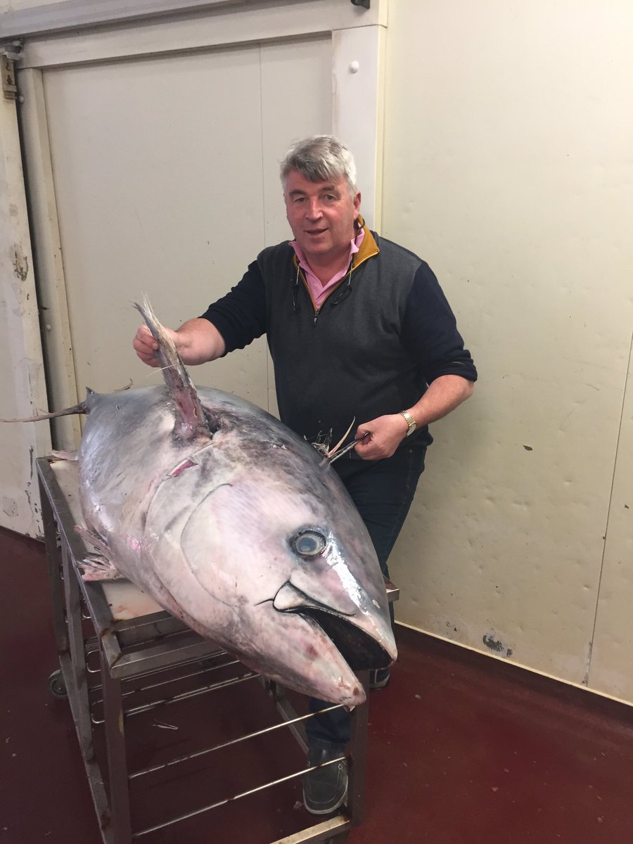 martyfishy's tweet photo. @todayfm gone fishing . Chris rea https://t.co/4igSFOJMrX