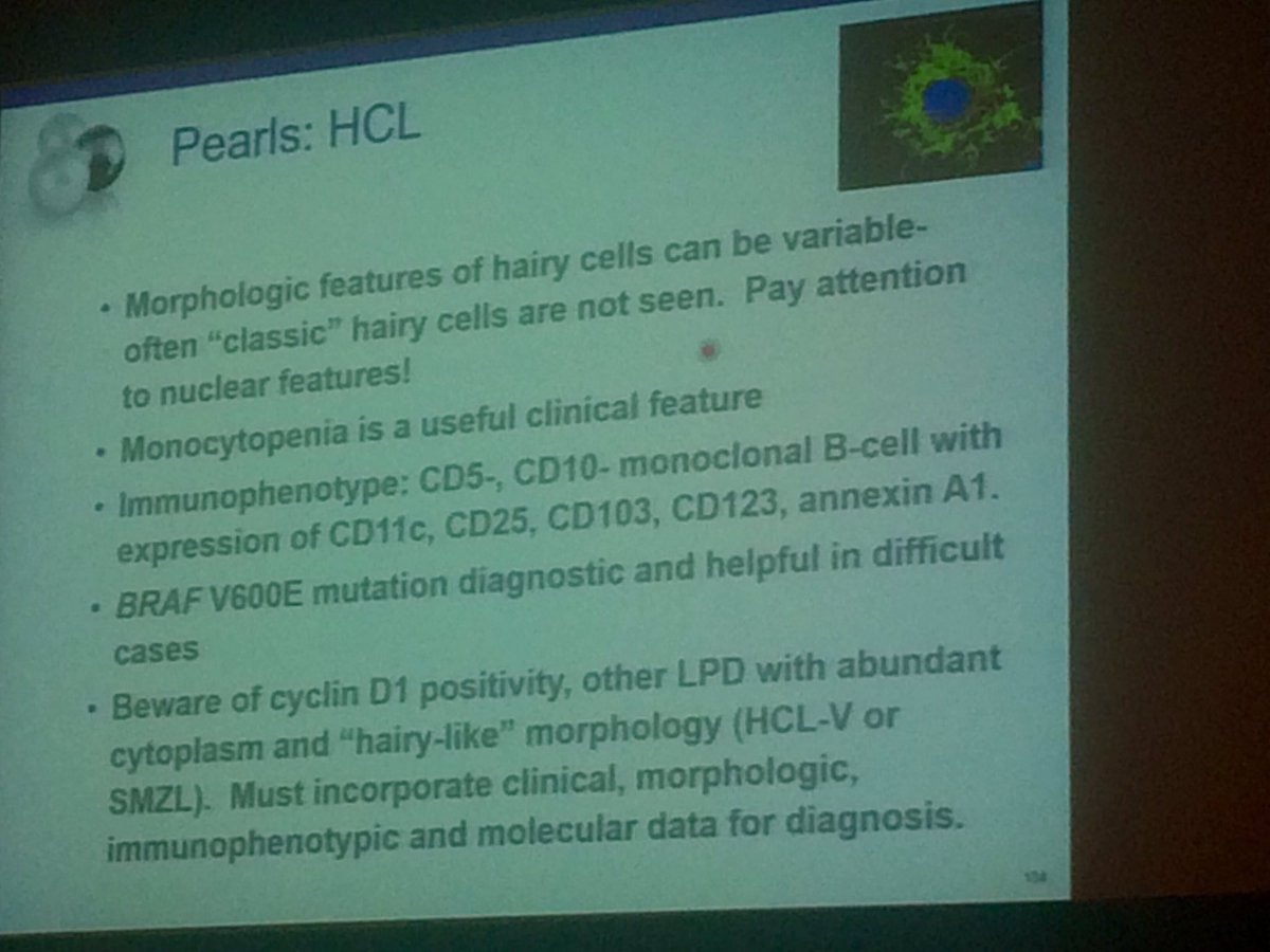 Megan Ketcham tweet media