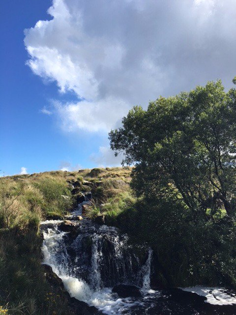 karenwhite03's tweet photo. Another top day @GoDartmoor with great views, weather and company @SuzyC_C @BristolNordicWa @totalbristol #airlikechampagne #restdayneeded https://t.co/vAUjoikZeK