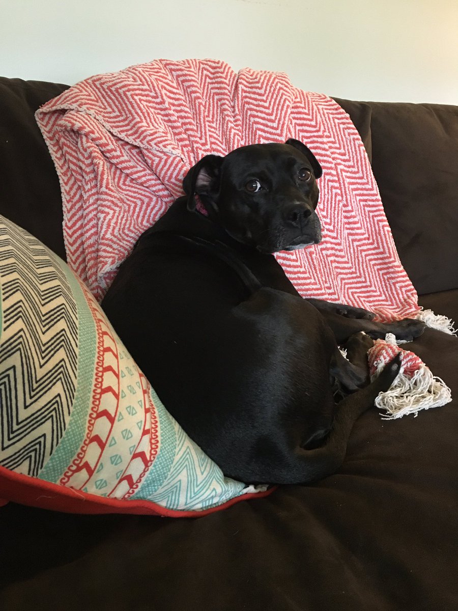 Roxy Reading tweet media