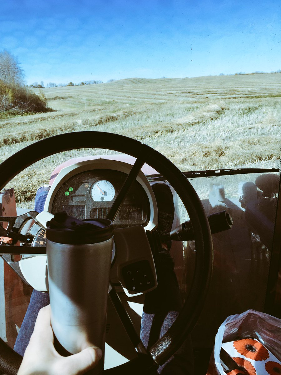 jenessakar's tweet photo. My kind of Sunday #Vermilion #canola #cupofjoe #harvest2016 https://t.co/Q9Vu7GLPzF