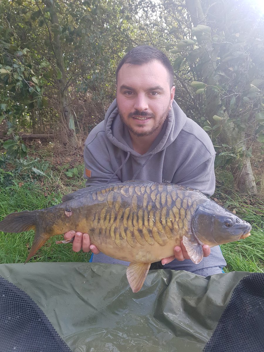 Grolly81's tweet photo. The prittier of 2 fish i had over the weekend. This one went 12lb on a @CoreBaits_uk core popup. #getonthecore #creativecarp #carpfishinguk https://t.co/U9A3KqwYTq