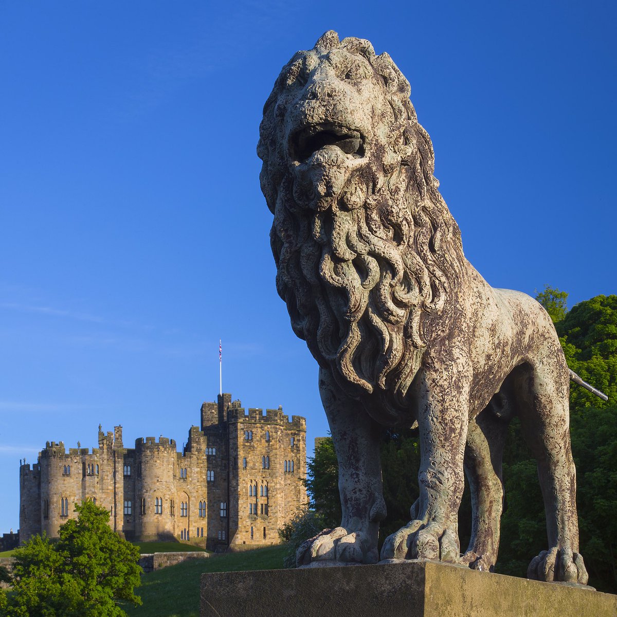 Some citadels have more imposing guards than others :) @VisitNland @VisitBritain @VisitEngland @alnwickcastle @VisitAlnwick @LexarMemory