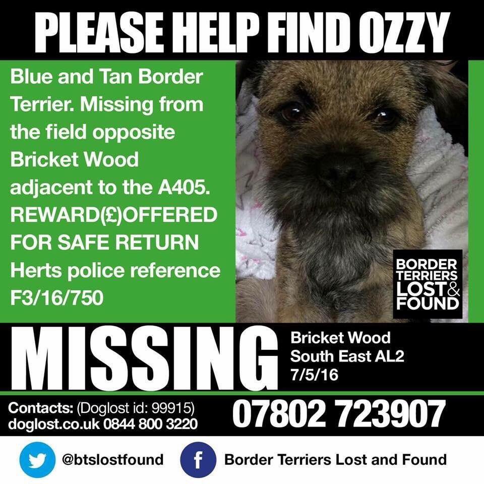 BTslostfound's tweet photo. #findozzy #BTPosse #poldark https://t.co/3rMR4T1AKu