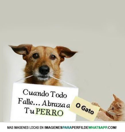 Feliz domingo para todos!