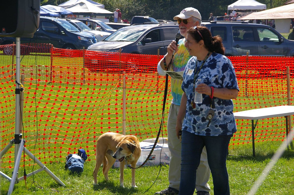 buddy dog woofstock