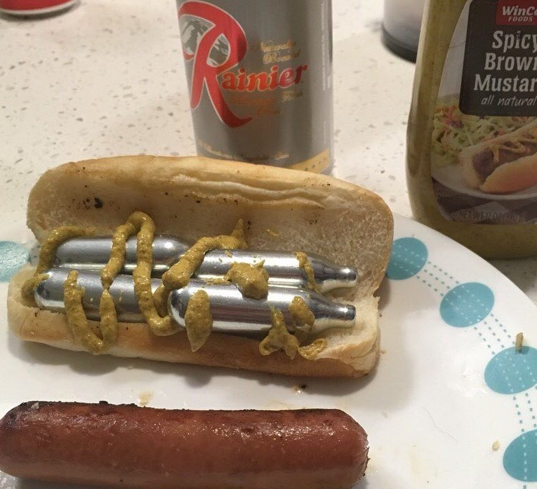 AppleberryPocky's tweet image. Dear @TrashWeekend 

I had a dream about the whip it dog. 

@ItsAHunterHusky @jill0r