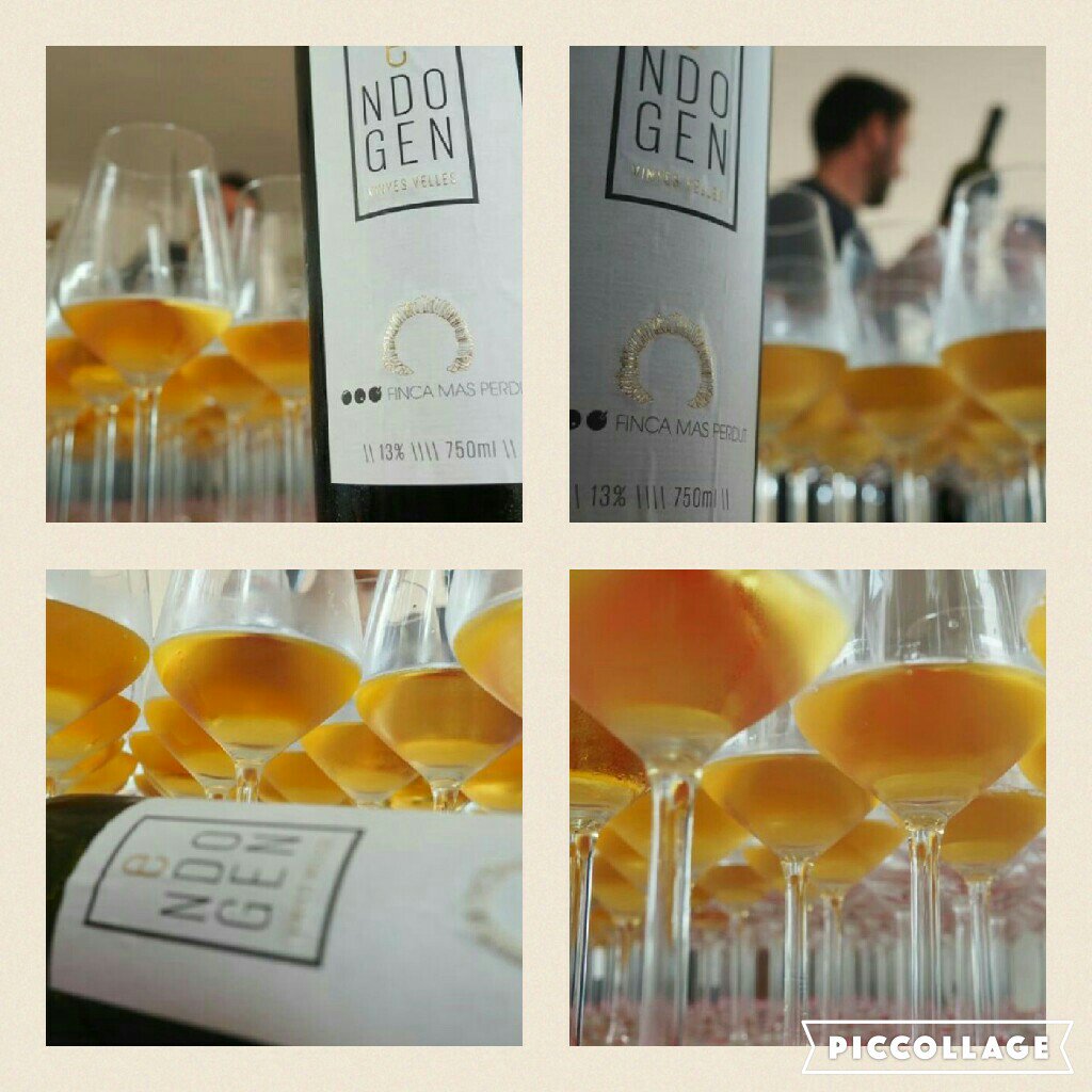 FincaMasPerdut's tweet photo. #endogen #vinsambamor #tastsolidari #associacioalzheimer #elvendrell #descobrintmasperdut #visitans #enopenedès #penedèsturistic #santaoliva https://t.co/rL4kFgREf5