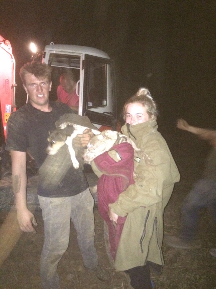 31 hours later and a huge rescue effort our little dogs have been found alive and well. Thank you to all.