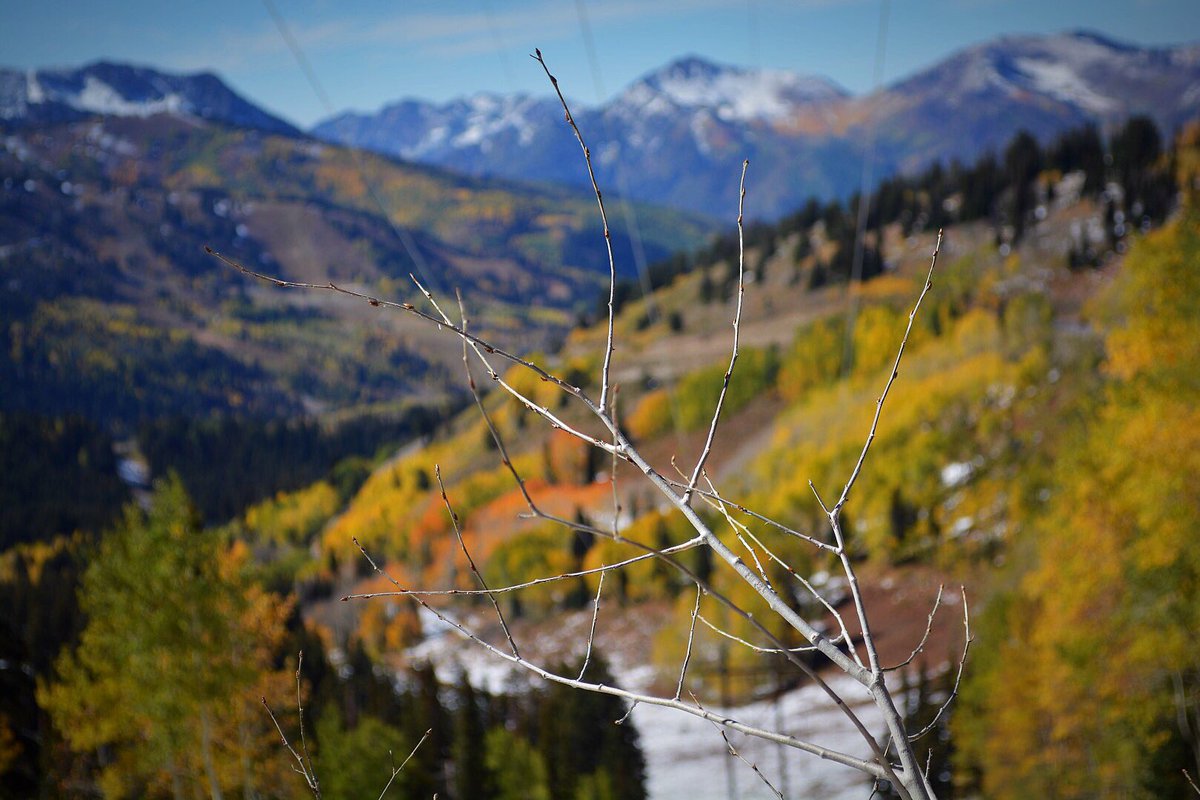 yurs_m's tweet photo. Utah is so beautiful! Same spot, fall vs. summer https://t.co/OZJjeTsehb