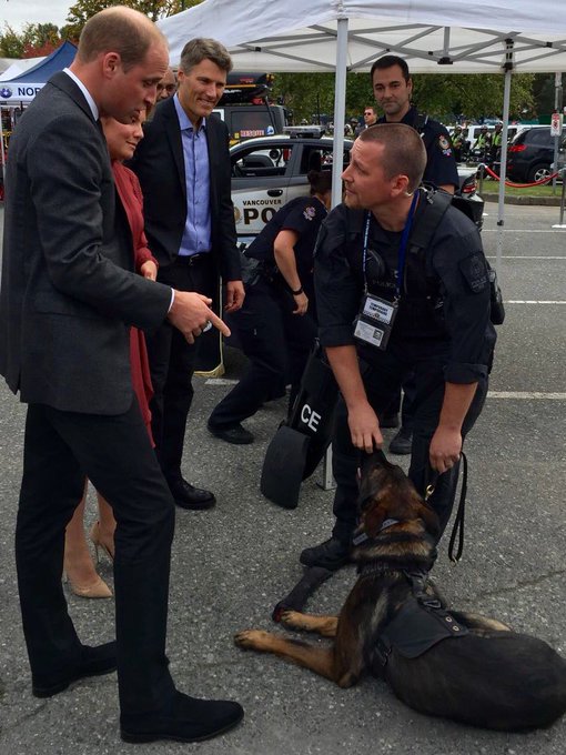 View image on Twitter