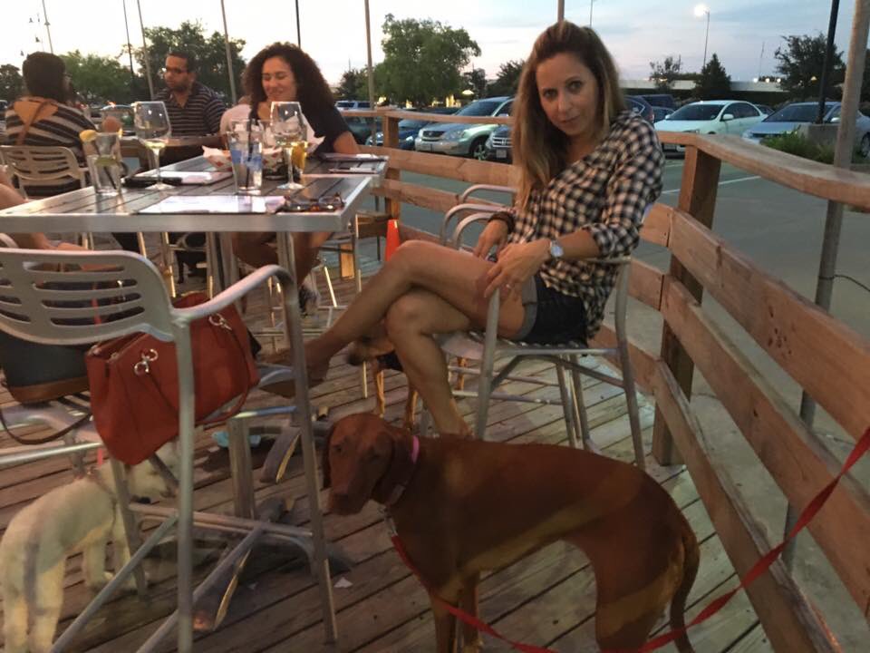 FBPetsAlive's tweet photo. #BigBenTavern owned by #AnimalLovers #yappy hour was a hit with great food, beer, music, dog treats, ball game. https://t.co/n8aAdvzNu7