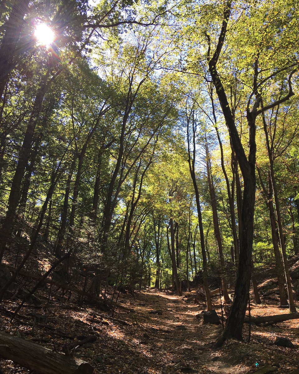 Okay, last one from today's adventure. #AdventuresWithFriends #OptOutside #BlazingOurOwnTrail #NoFilter #ItsFinallyFall