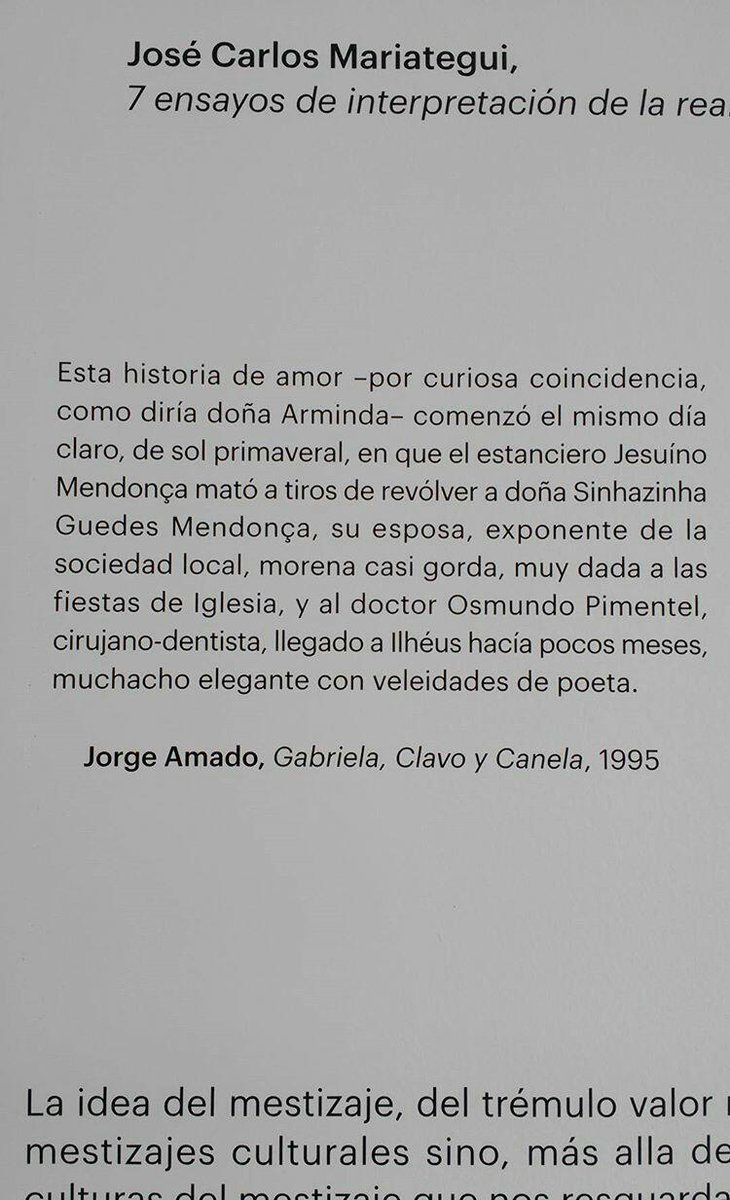 madeofchalk's tweet photo. @Negroviejo y si seguimos con el bloque "amar a Flavia" ayer ví esto en una pared del Malba y me acordé de vos #Amaders https://t.co/gOVY5AZgvw