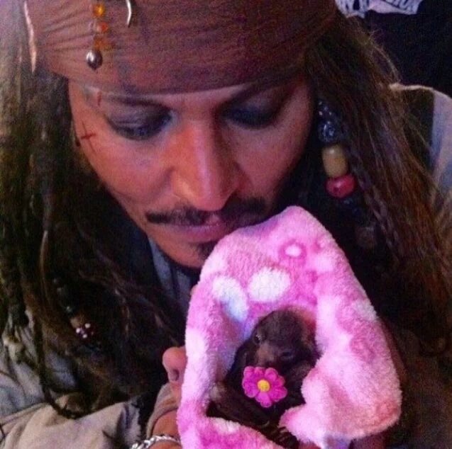 JohnnySgh1's tweet photo. Treasure, That's What U R ❤
Mr. Depp, I Fu**ing Adore U 😭😭
#JohnnyDepp #Kind #Humanitarian #GreatActor #Legend https://t.co/4cSeNQvj1q