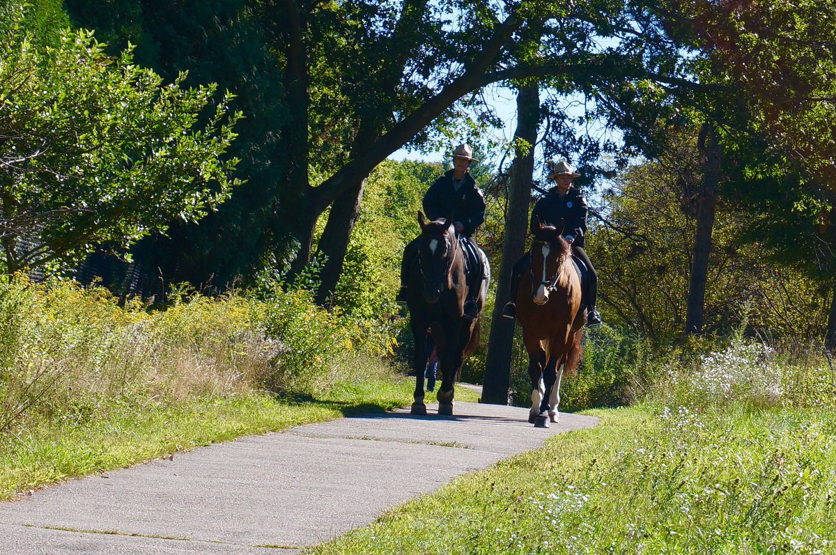 swifty915's tweet photo. Gorgeous day for the DCR Rangers and their horses (Photo credit: Little Sister Jaelis) #MassDCR #BigSisterBoston #BlueHills https://t.co/18yT4eze9k