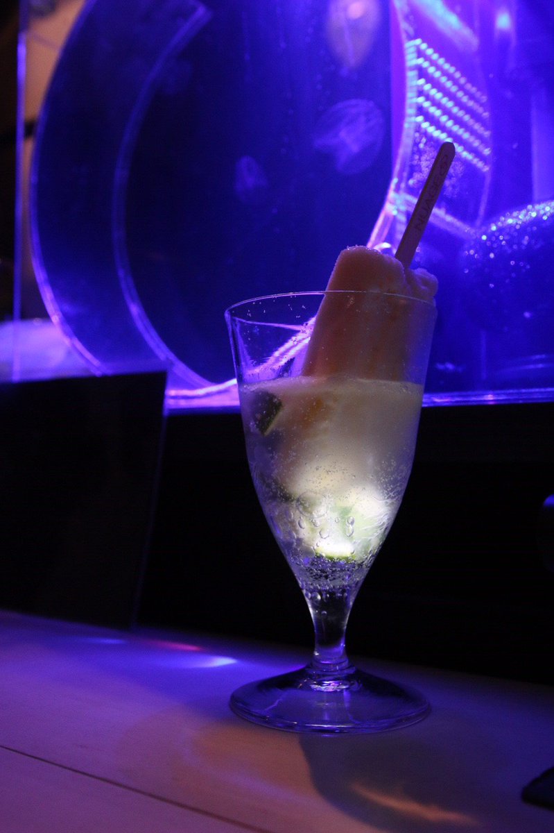andlevic's tweet photo. ANDLEVIC会場で人気だったクラゲBar
お楽しみいただけたでしょうか？

来年・今後に向けて動きだしています！
ANDLEVICの今後にも要注目です！
#andlevic https://t.co/iZz2eDj8BQ
