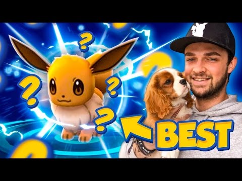 PokemonGOVGC's tweet photo. ##Pokemon## ##GO## - ##BEST## ##EVER## ... - https://t.co/su161Lw1g7 - #PokemonGo #PokemonGoAndroid https://t.co/TsJsppxN8x