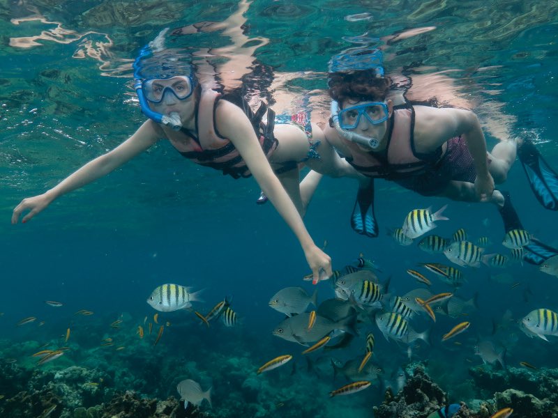 Other excursions in Cuba that will be extra $$ if you choose to do them.
Ex.
Zip-lining
Catamaran boat ride/snorkelling
Surfing