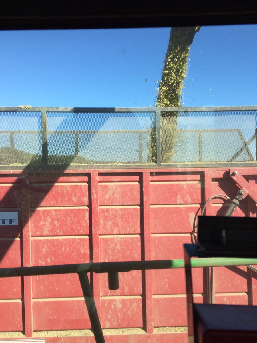 TravLapointe's tweet photo. A view I could for sure get use to. #silage16 #fromthefield https://t.co/NmJ48lEPwB