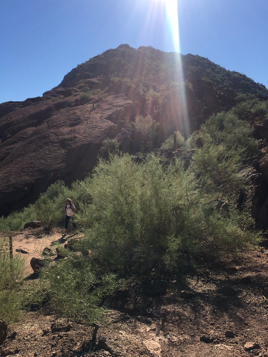 RubberTreeSys's tweet photo. Went hiking with a few of our customers earlier today, what a breathtaking view! @P21WWUG #CONNECT2016 #Phoenix https://t.co/yRgiTD3sDm