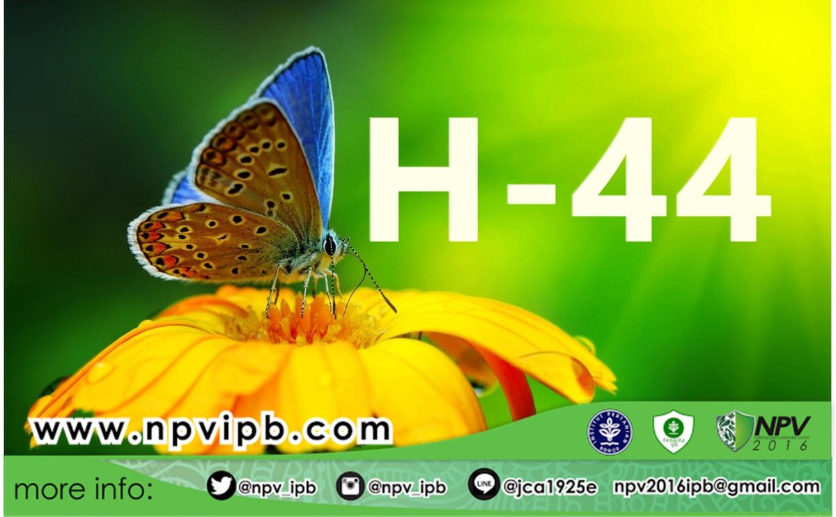 NPV IPB tweet media