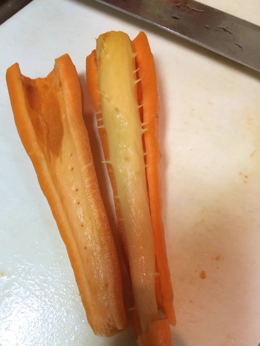 カレーを作ろうとして、ニンジンを切ったら中から出てきたものがヤバ過ぎたwww