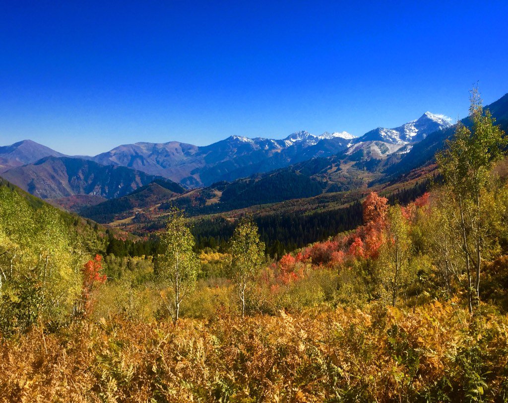 Weswarr11's tweet image. #Fall is the best time of the year! #falldrive